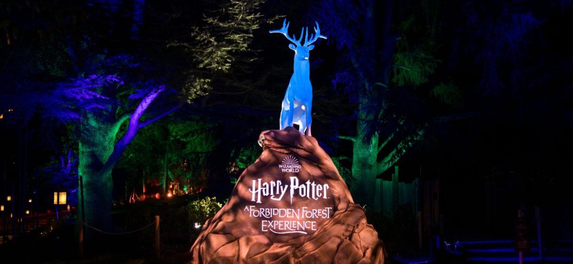 harry-potter-4
